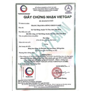Nước hoa LACO set 4 mùi