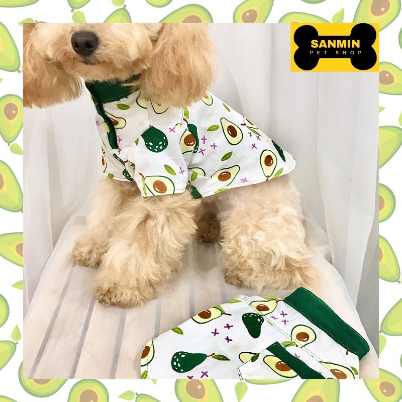Áo sơ mi cổ trụ cho chó mèo hình trái bơ đáng yêu SanminPet