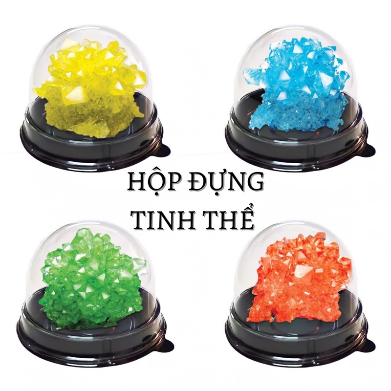 1 hộp - nắp cầu trưng bày tinh thể, đựng bánh, pokemon,… l Tcrystalstore