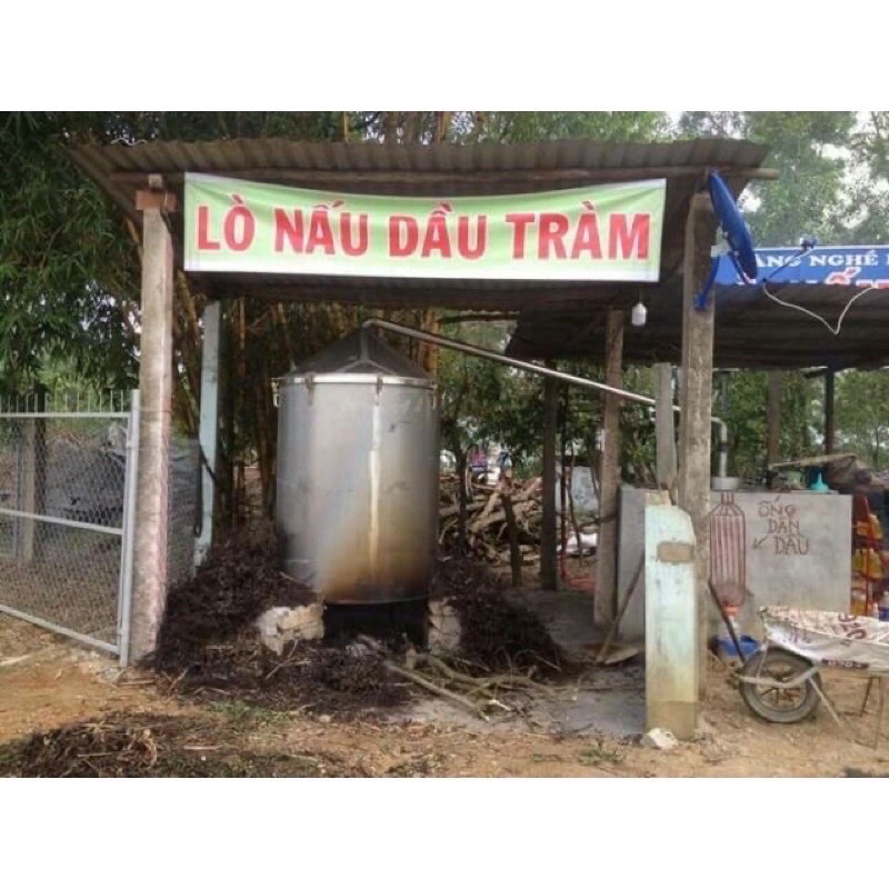 Tinh Dầu Tràm Hiệu Chị Gấm.