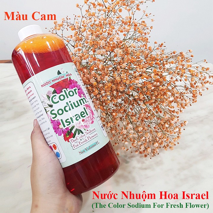 Nước Nhuộm Hoa Tươi đủ 12 màu  theo công nghệ Israel giúp nhuộm đổi màu hoa cắt cành theo ý muốn