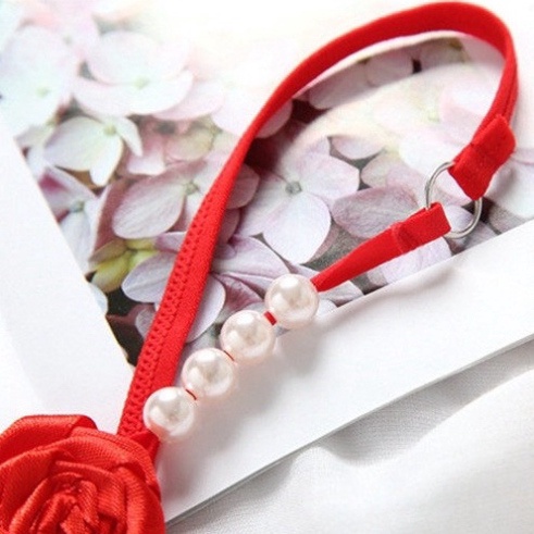 Quần lọt khe hoa hồng Lylylorem QL131