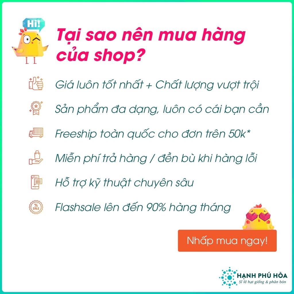 Chậu Nhựa Tròn Trồng Hoa Lan, Cây Kiểng Bình An Xanh Kích Thước 25cm, 28cm - Chậu Nhựa , Đẹp, Nhẹ, Chắc Chắn, Có Hoa Văn