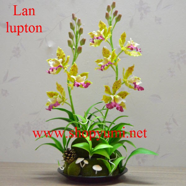 Hoa đất sét - Lan lupton