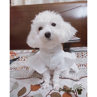 MOON| Váy NH hoa trắng nhỏ