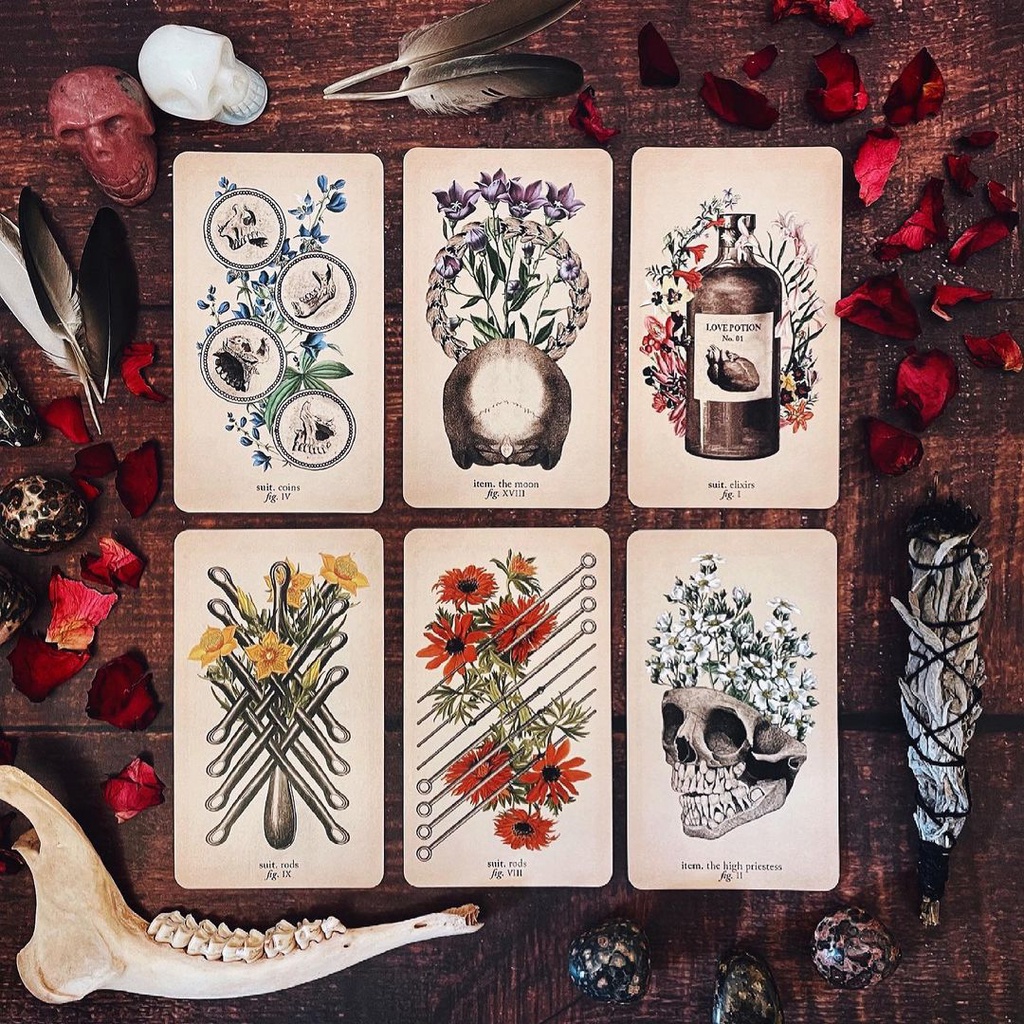 Bộ Bài Antique Anatomy Tarot (Mystic House Tarot Shop)