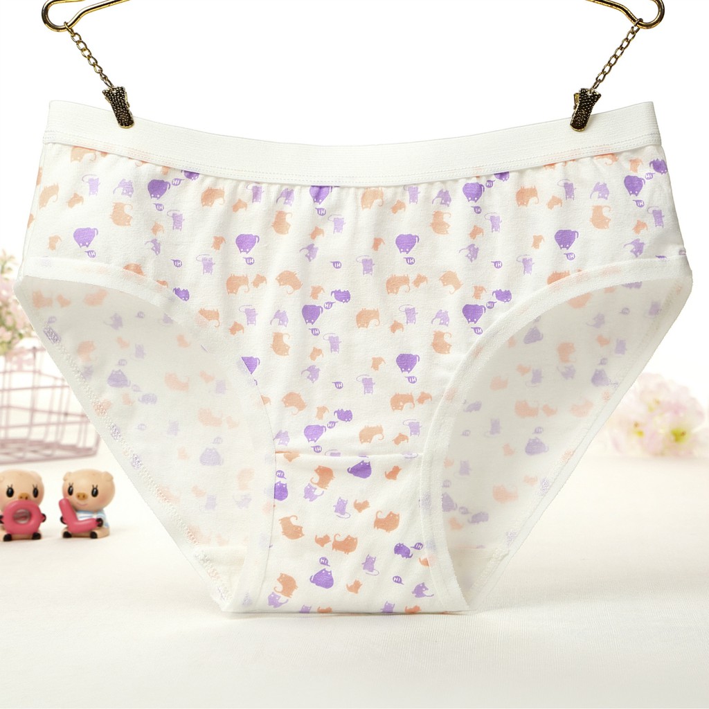Set 5 quần lót nữ dễ thương NuciFera  chất cotton mềm mại co dãn mẫu Hoa Sao