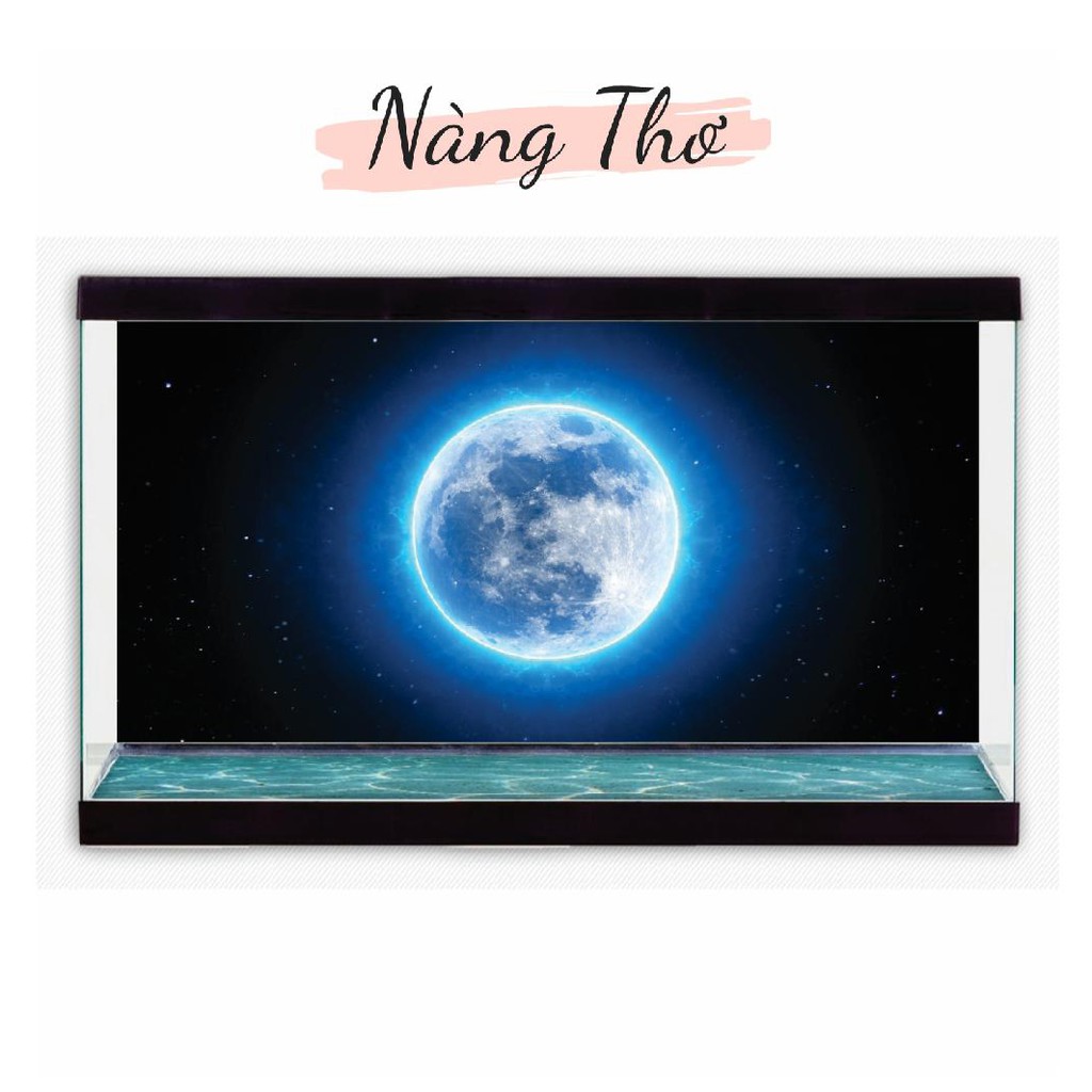 DECAL DÁN HỒ CÁ_TRANH 3D NEW MOON NÀNG THƠ