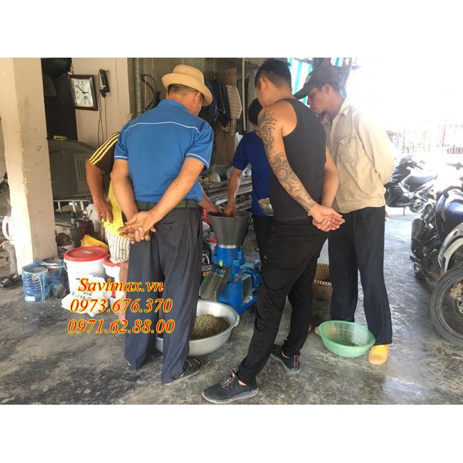 Máy ép cá, cua, ngô thành cám viên công suất 4kw đầu liền tiện dụng