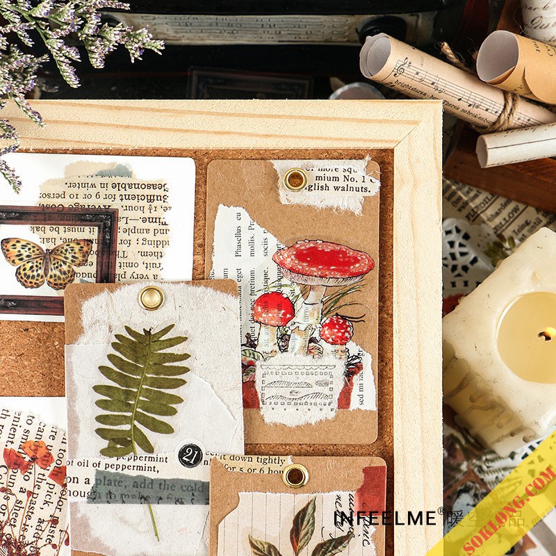 Set Sticker hoa lá cỡ lớn trong suốt - Sticker Vintage dán trang trí