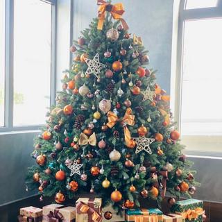 Bán Cây Thông Và Phụ Kiện