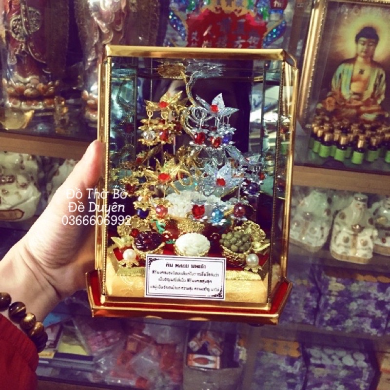 Cây Tài Lộc kèm ngũ cốc