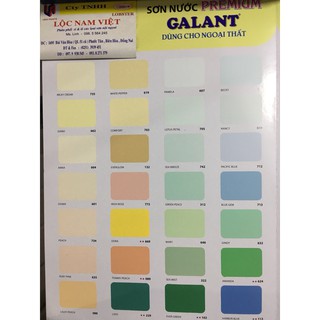 Sơn nước ngoại thất Galant 18L