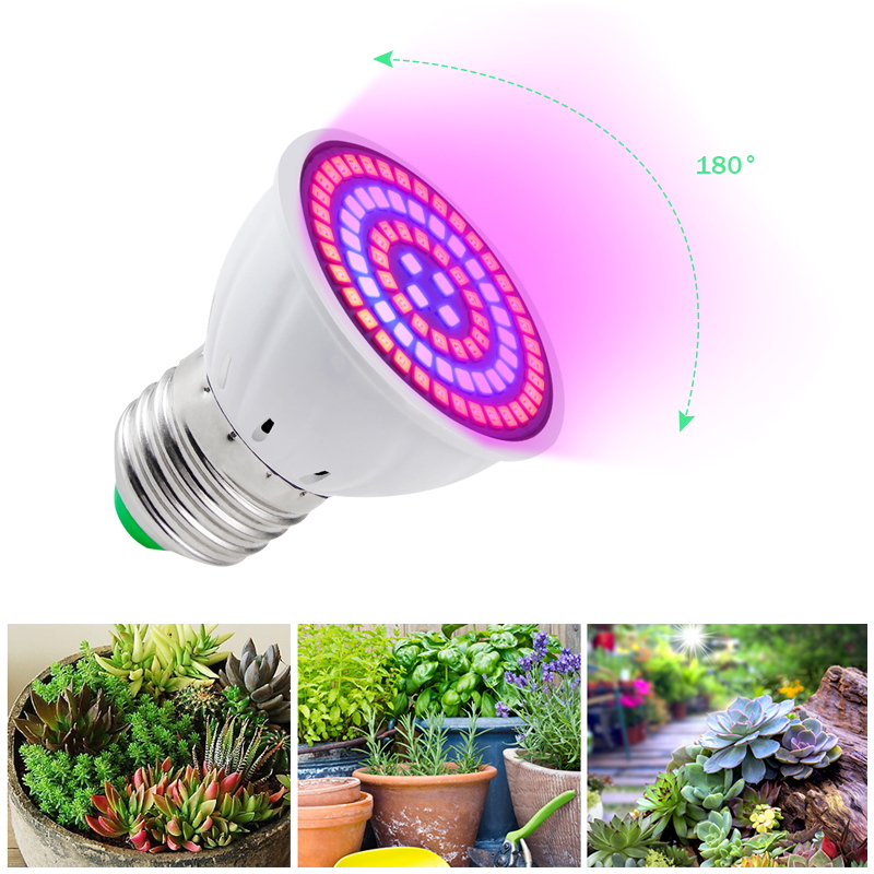 GBKOF Bóng đèn tăng trưởng thủy canh 80led Led B22 / E27 / E14 / GU10 / MR16 Bóng đèn Led phát triển đầy đủ Quang phổ 220V Nhà máy UV Cây hoa cây giống Đèn Phyto