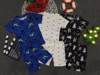 Combo 3 bo đồ carter cho be mặc hè thấm hut mồ hôi                                                                      