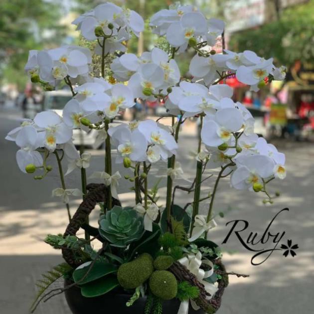 Hoa giả- lan hồ điệp cao su 7 bông