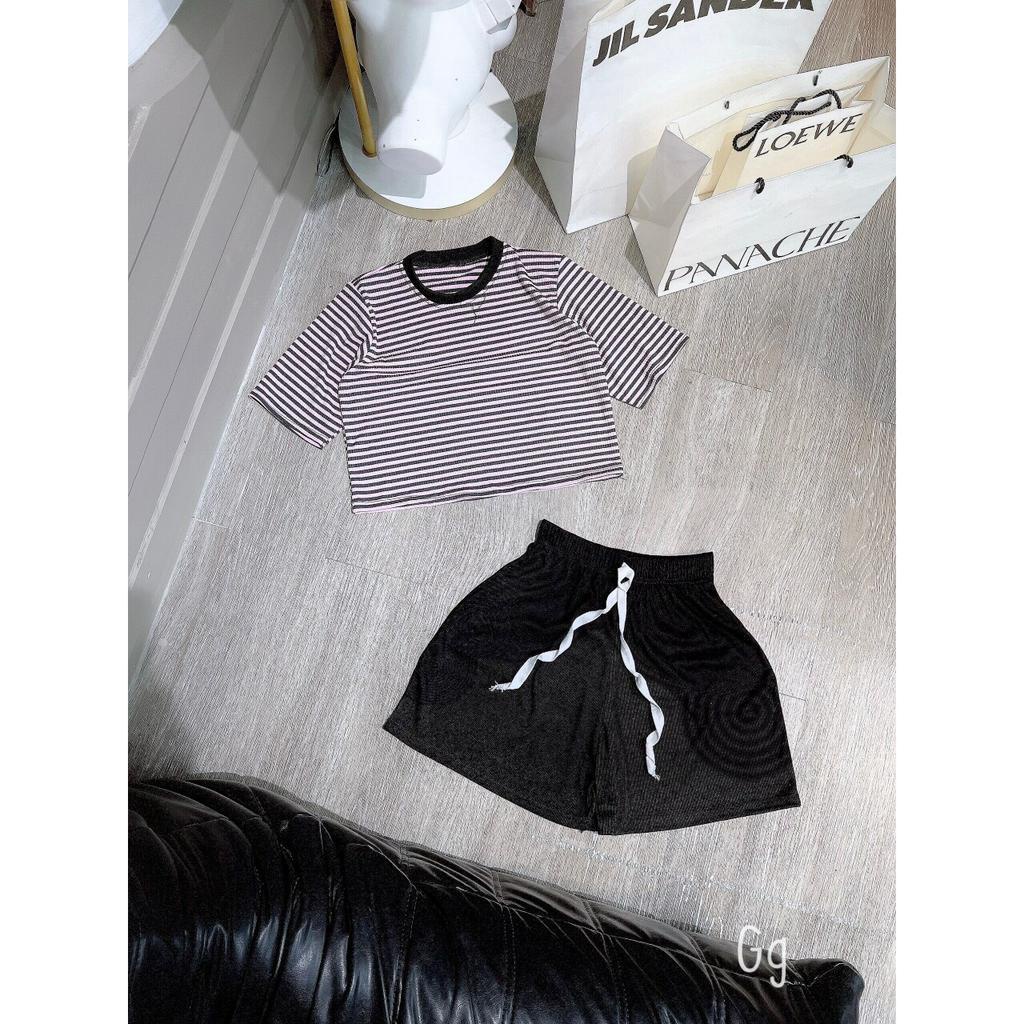 sét bộ đùi gân sọc cổ tròn ngắn tay hot