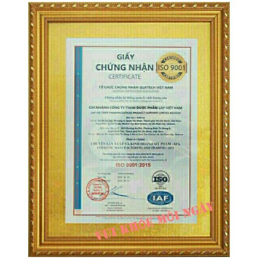 Cao Gừng Tan Mỡ Bụng Chính hãng Thiên Nhiên Việt | BigBuy360 - bigbuy360.vn