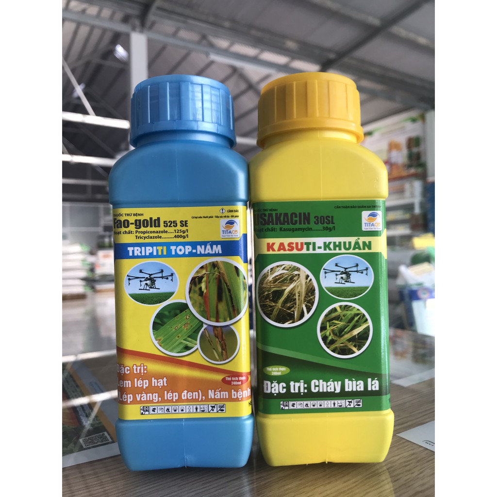 CẶP ẤN ĐỘ Trừ bệnh đạo ôn, cháy bìa lá, lem lép hạt KASUTI-KHUẨN, TRIPITI_TOP-NẤM