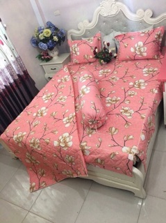 Bộ cotton poly trần phủ