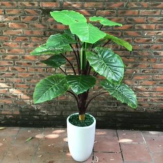 Cây giả décor- Cây lá giả trang trí không gian