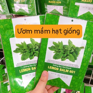 Bạc hà chanh LEMON BALM 601 (1g)