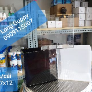 Hồ show cá siêu trong Acrylic