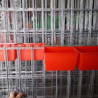 Máng ăn, máng uống cho gà.