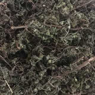 500gr cây nhọ nồi - Cây cỏ mực