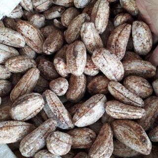 Chuối hột nguyên quả khô thơm lừng (1kg)