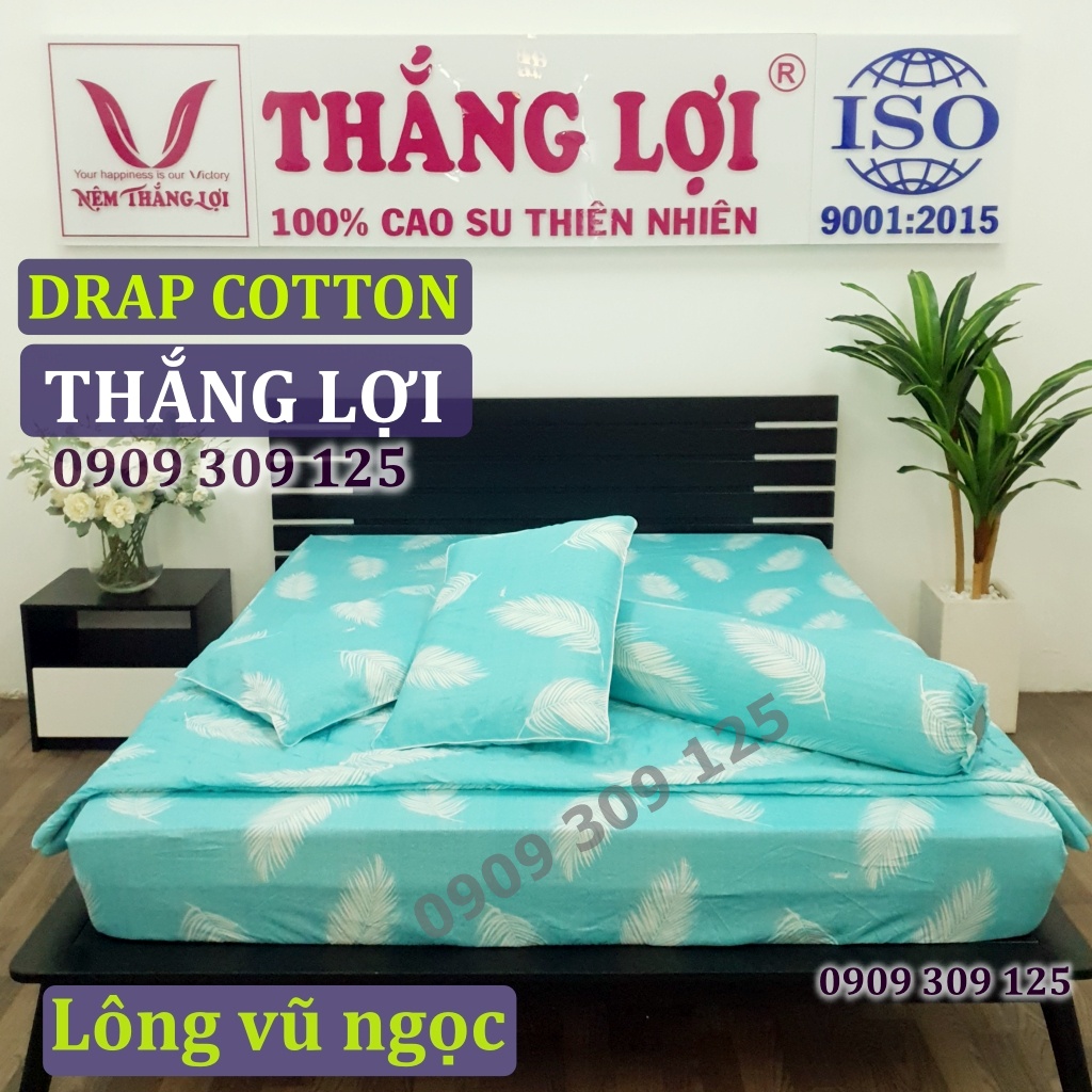 (RẺ VÔ ĐỊCH) bộ drap cotton Thắng lợi 100% LÔNG VŨ NGỌC