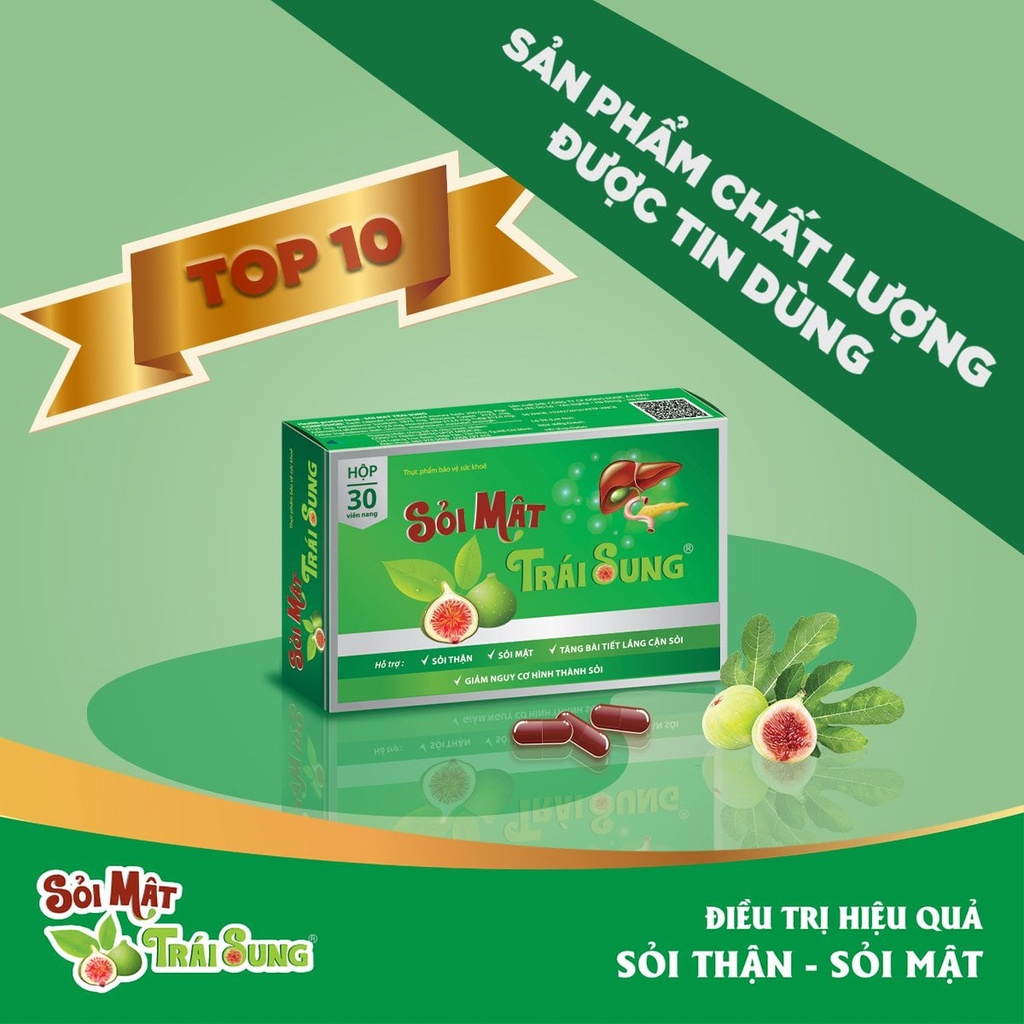 SẢN PHẨM HỖ TRỢ CẢI THIỆN SỎI MẬT - SỎI MẬT TRÁI SUNG