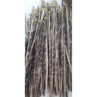 50 CẦN CẮM ẾCH TÓM SẲN LOẠI ( ĐẶT )