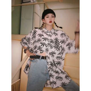 SƠ MI HỌA TIẾT CÂY DỪA ĐI BIỂN