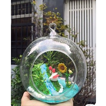 combo hủ tiểu cảnh quà tặng trang trí