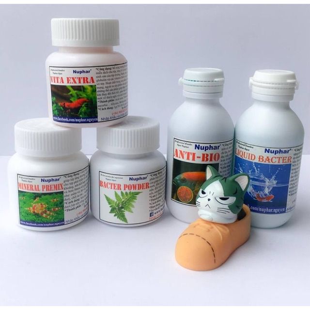Bổ sung khoáng/vitamin/Anti bio cho cá tép