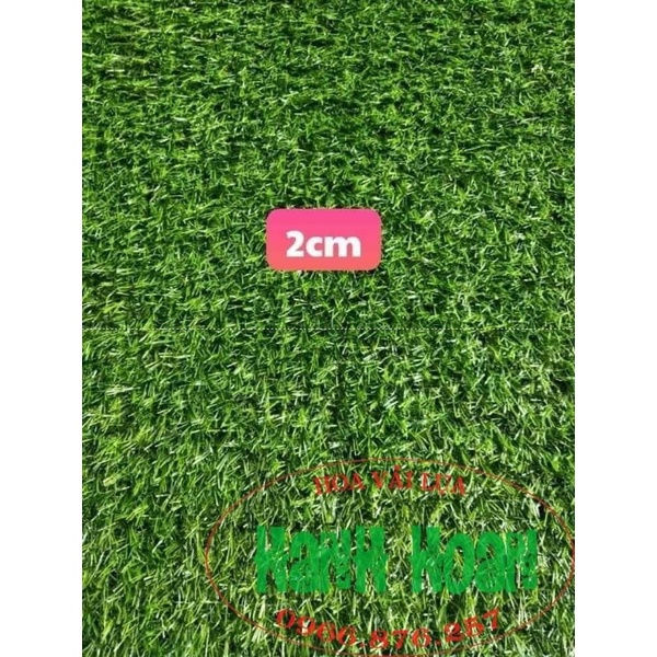 1m2 Thảm cỏ nhân tạo 2cm , 1,5cm - Thảm cỏ