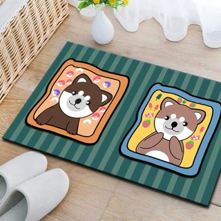 Thảm chùi chân lông mịn B&Q 40x60cm