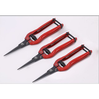 Kéo cắt tỉa cành hoa lá 18,5cm - DEVELOPE 899