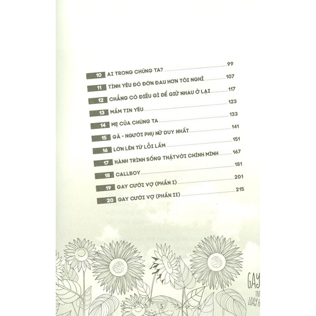 Sách - Gay Trong Loay Hoay