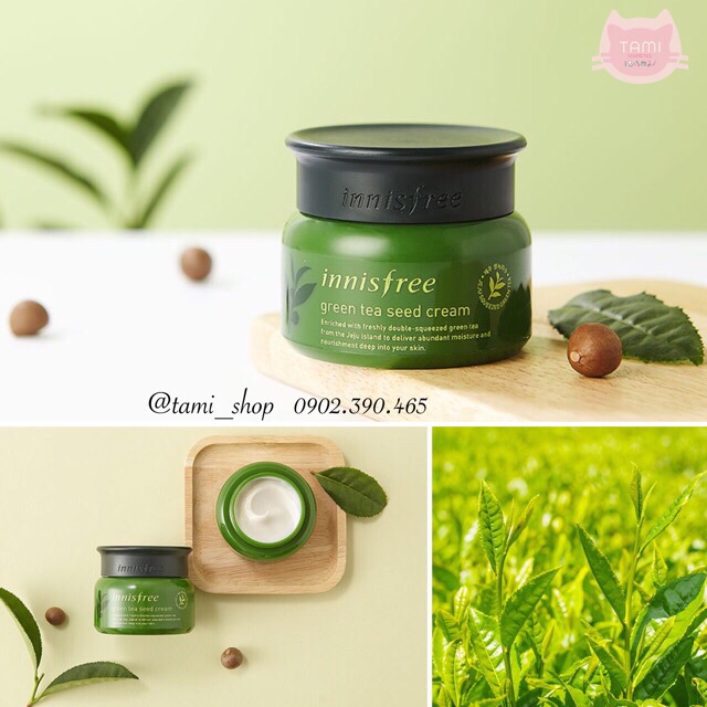 Kem Dưỡng Da Innisfree Green Tea Seed Cream Mini