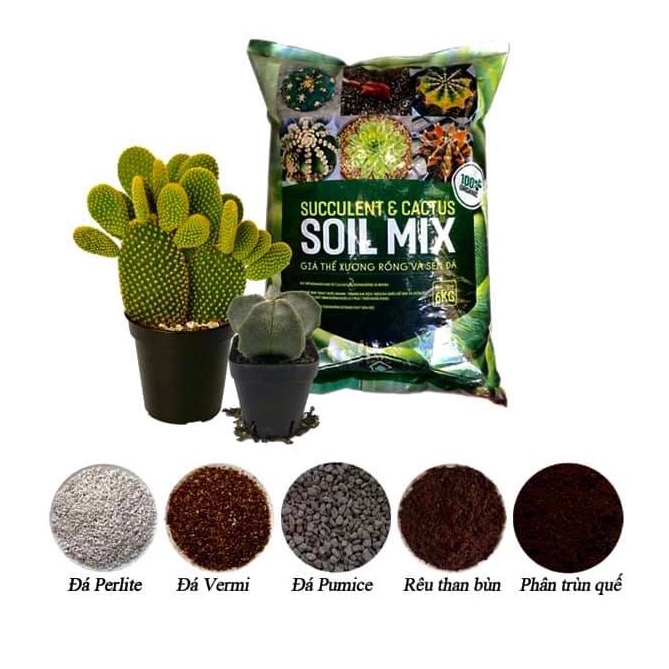 Giá Thể, Đất Trồng Cao Cấp Cho Sen Đá và Xương Rồng (500g) - Vườn Sen Đá