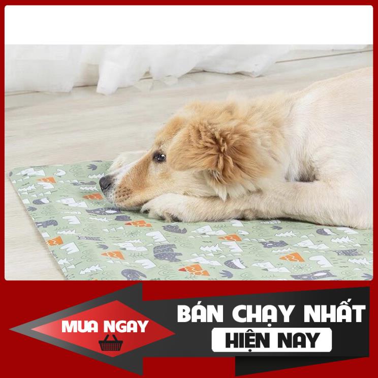 [ HÀNG CAO CẤP ] Đệm gel nước làm mát chó mèo tránh sốc nhiệt mùa nóng