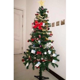 Cây Thông Noel cao 1.5m Kèm Phụ Kiện Đẹp Trang Trí Giáng Sinh Trong Nhà Phòng Ngủ Ngoài Trời Quà Tặng Noel