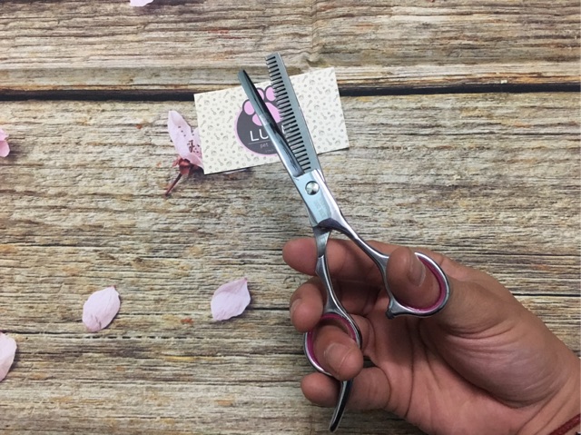 Kéo tỉa lông cho cún