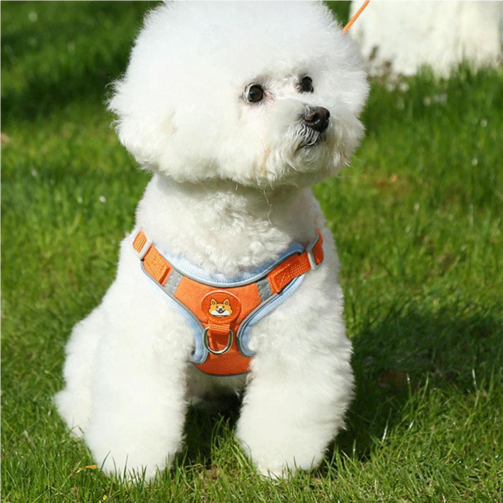 Elsabell. Dây dắt thú cưng đi dạo có yếm và sợi phản quang thoáng khí, đủ mọi kích thước, tay cầm vừa vặn