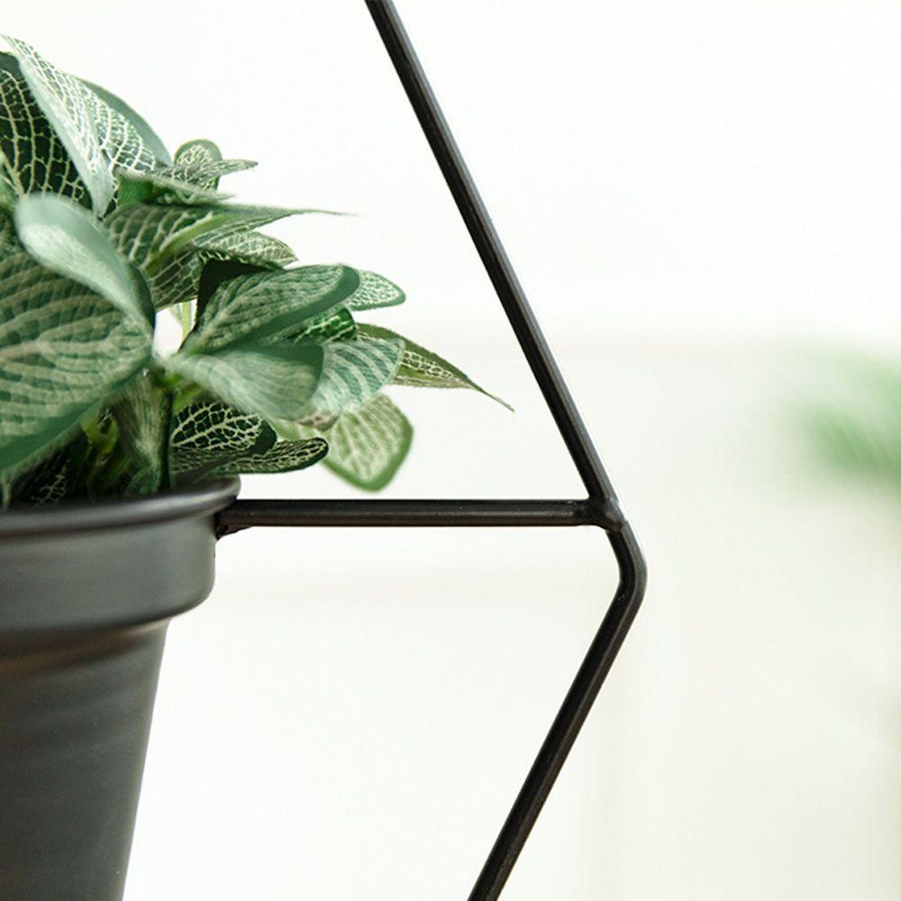 Chậu Trồng Cây Treo Tường Trang Trí Sân Vườn