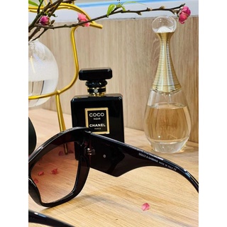 Kính D&G Cat
