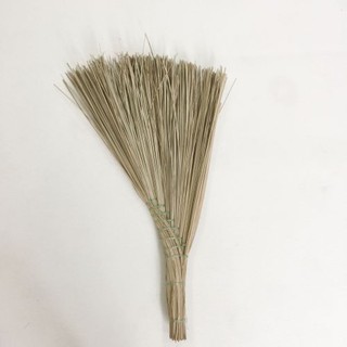 CHỔI CHÀ MINI QUÉT NHÀ