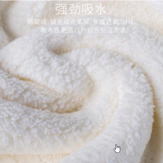 Khăn Quấn Đầu, Khăn Lau Khô Tóc Siêu Thấm
